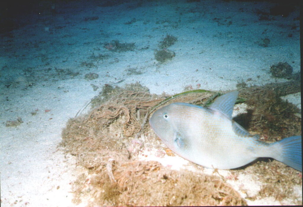200113