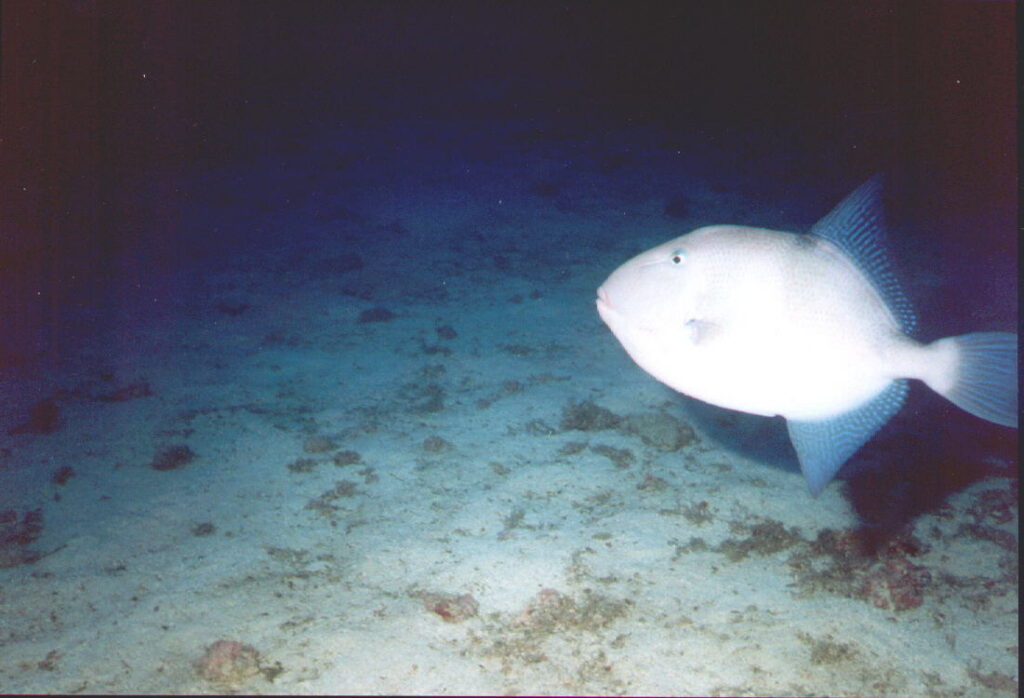 200114