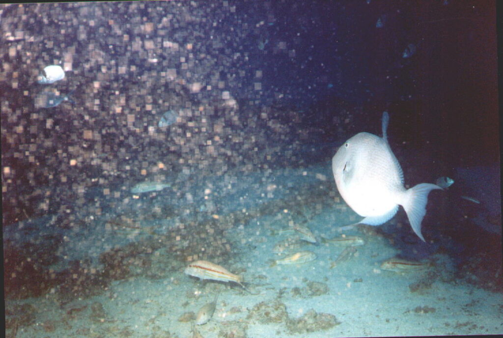 200115