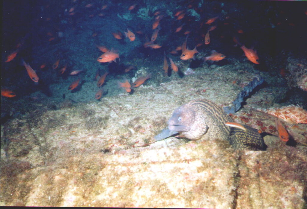 200116