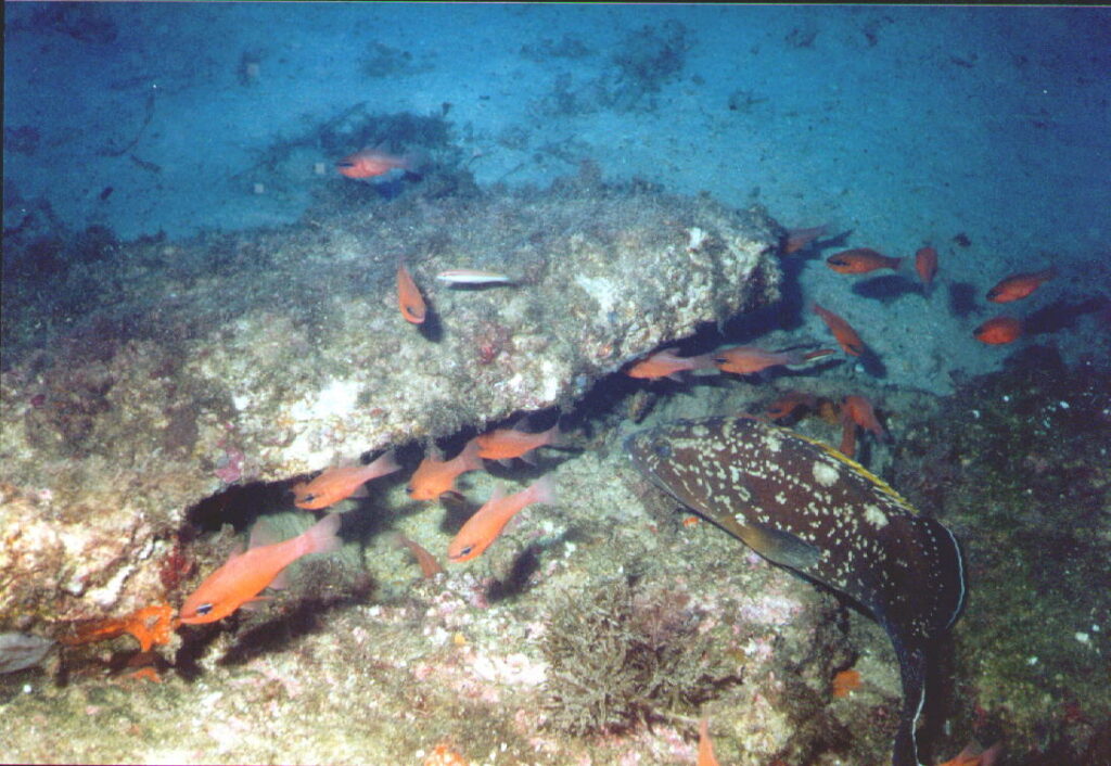 200117