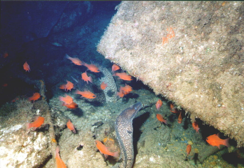 200118