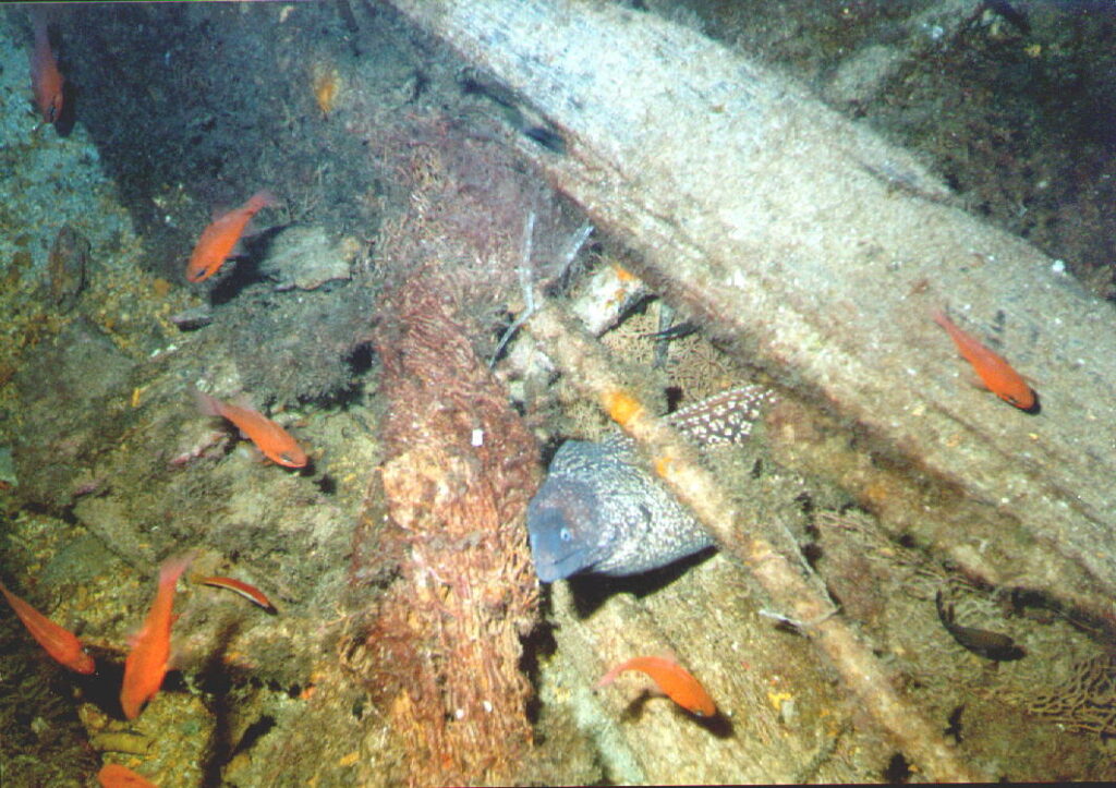20012