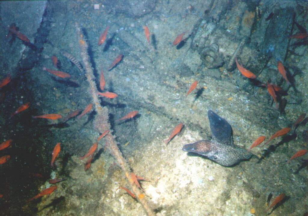 20014