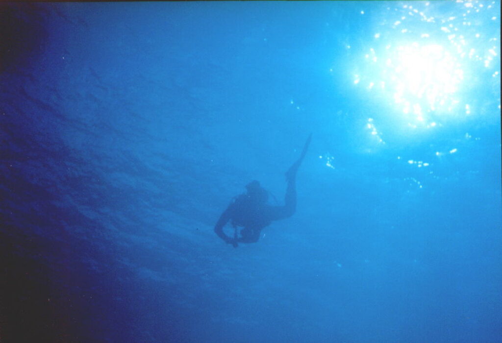 20018