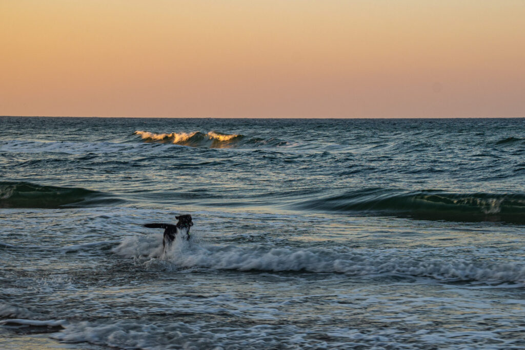 Aufgenommen: 10.01.2022 15:09 | Gerät: Canon EOS R6 | Belichtungszeit: 1/50 s | Blende: f/6.3 | ISO: 100 | Blitz: nein
