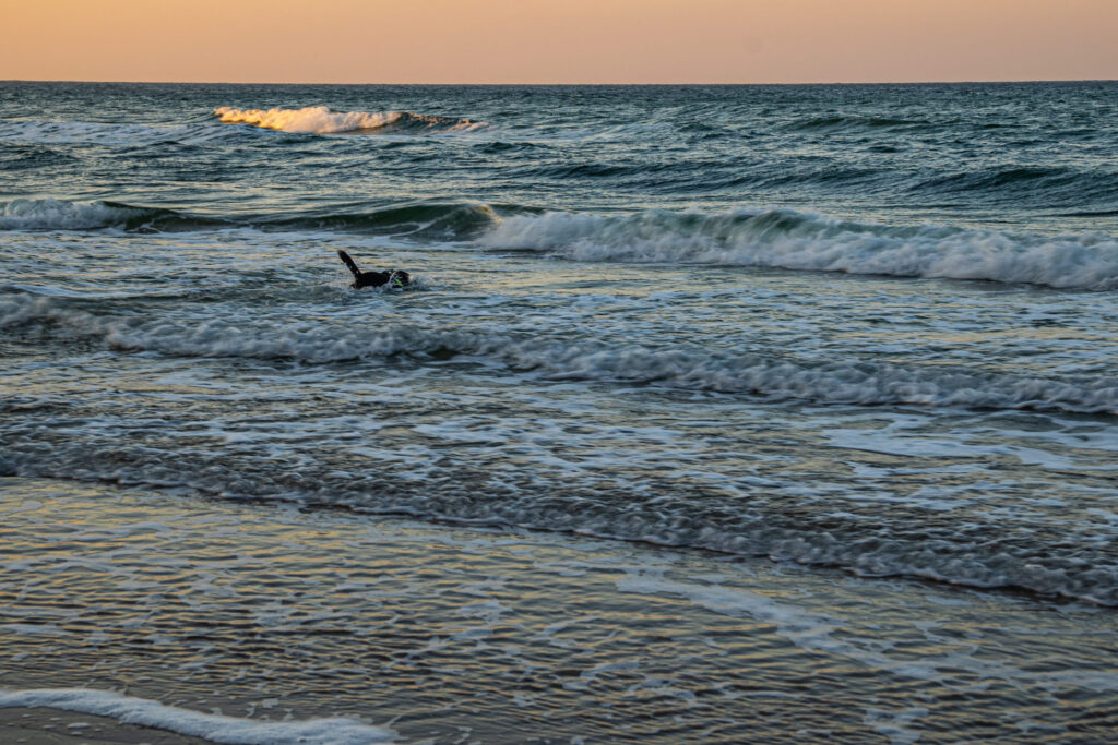 Aufgenommen: 10.01.2022 15:09 | Gerät: Canon EOS R6 | Belichtungszeit: 1/40 s | Blende: f/6.3 | ISO: 100 | Blitz: nein