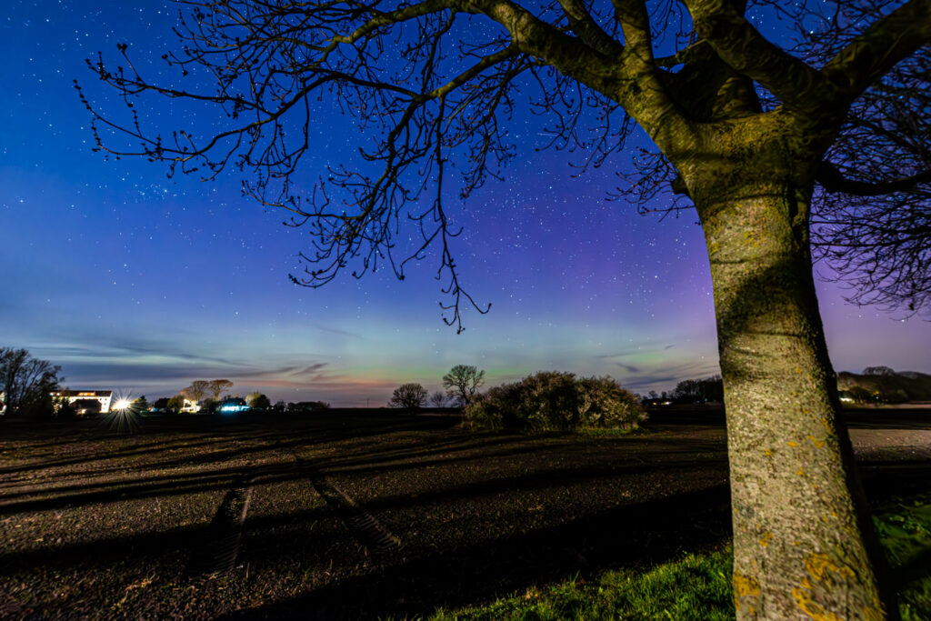 Aufgenommen: 23.04.2023 22:33 | Gerät: Canon EOS R6 | Belichtungszeit: 15/1 s | Blende: f/6.3 | ISO: 12800 | Blitz: nein