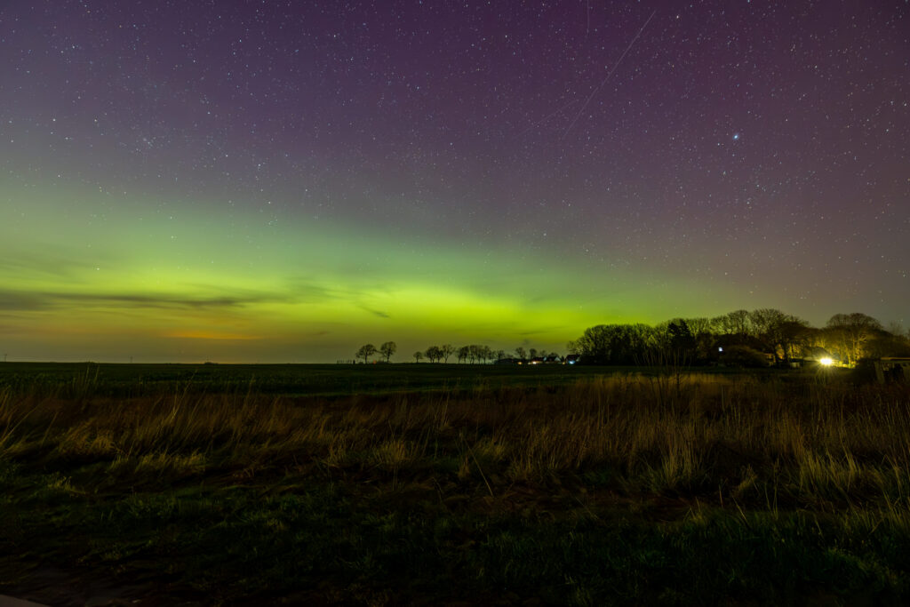 Aufgenommen: 23.04.2023 23:01 | Gerät: Canon EOS R6 | Belichtungszeit: 20/1 s | Blende: f/5.0 | ISO: 12800 | Blitz: nein