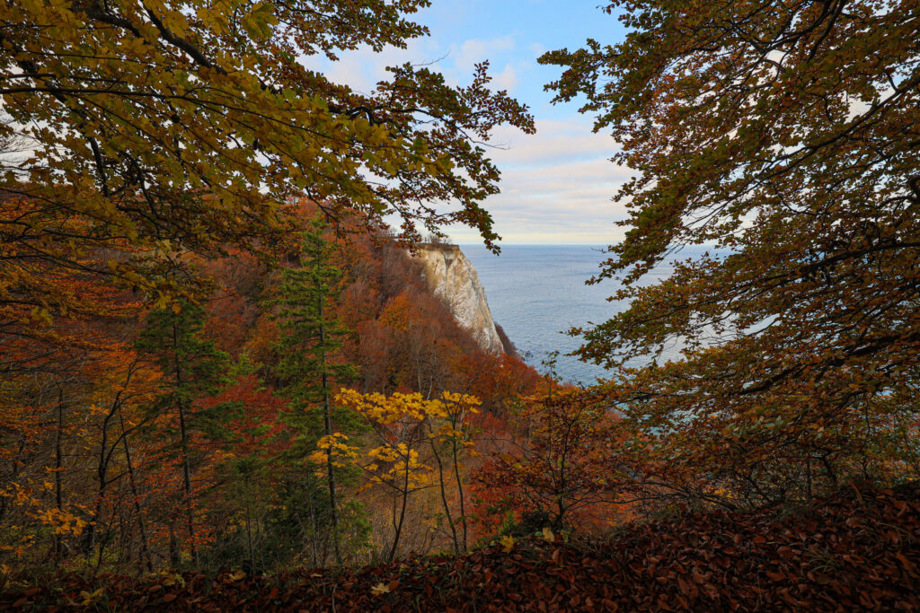 Aufgenommen: 04.11.2023 14:52 | Gerät: Canon EOS R6 | Belichtungszeit: 1/1000 s | Blende: f/4.5 | ISO: 800 | Blitz: nein