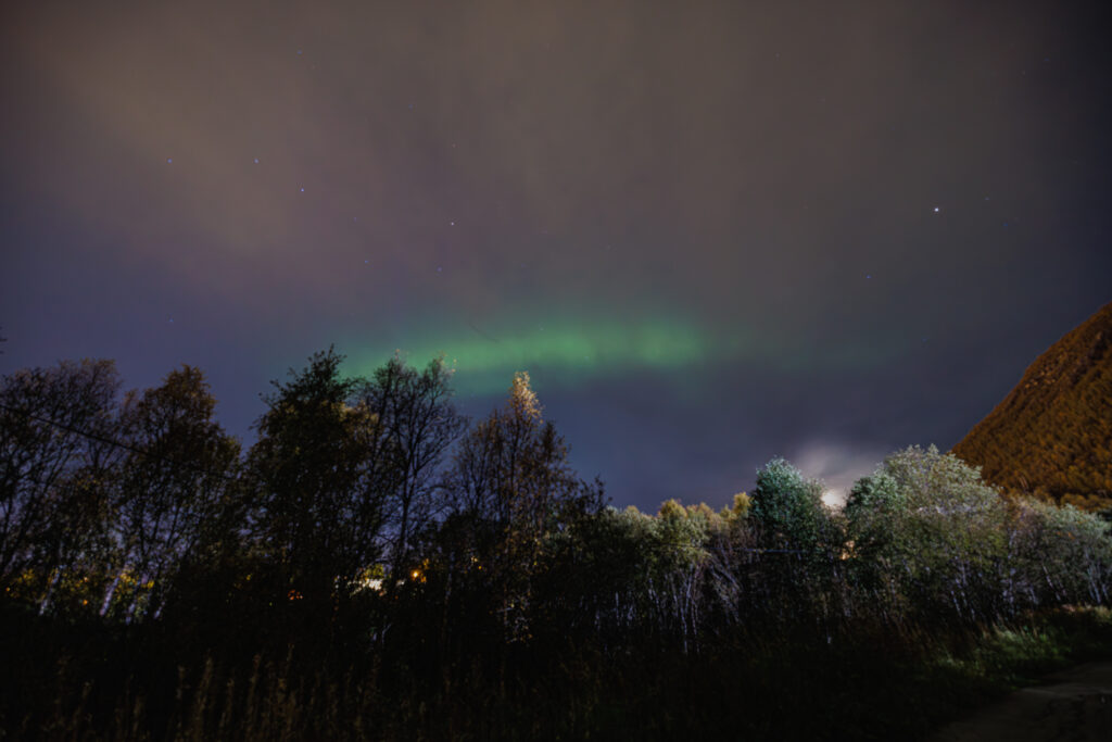 Aufgenommen: 25.09.2024 20:42 | Gerät: Canon EOS R5 | Belichtungszeit: 10/1 s | Blende: f/3.2 | ISO: 1600 | Blitz: nein