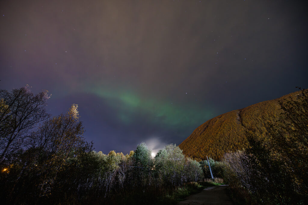 Aufgenommen: 25.09.2024 20:42 | Gerät: Canon EOS R5 | Belichtungszeit: 10/1 s | Blende: f/3.2 | ISO: 1600 | Blitz: nein