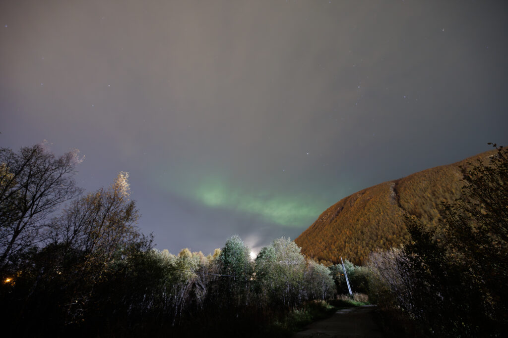 Aufgenommen: 25.09.2024 20:43 | Gerät: Canon EOS R5 | Belichtungszeit: 10/1 s | Blende: f/3.2 | ISO: 1600 | Blitz: nein
