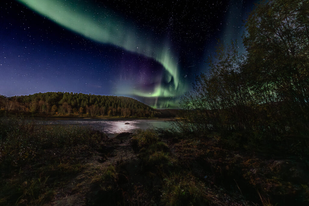 Aufgenommen: 24.09.2024 20:50 | Gerät: Canon EOS R5 | Belichtungszeit: 8/1 s | Blende: f/4.0 | ISO: 1600 | Blitz: nein