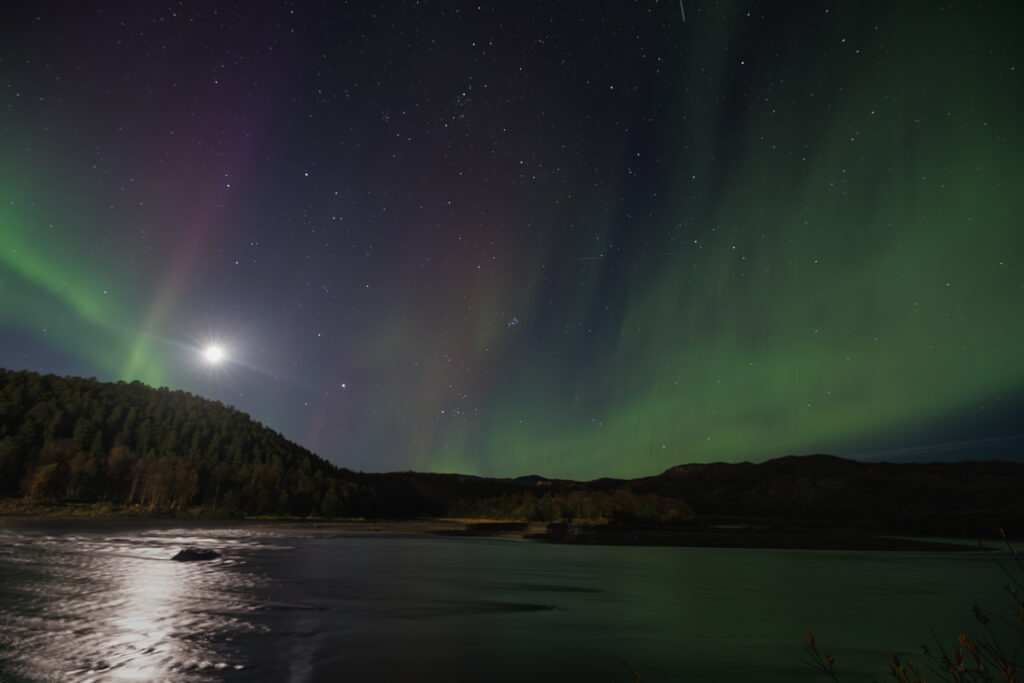 Aufgenommen: 24.09.2024 21:02 | Gerät: Canon EOS R5 | Belichtungszeit: 5/1 s | Blende: f/2.8 | ISO: 3200 | Blitz: nein