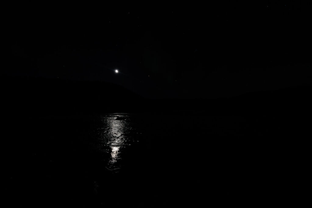 Aufgenommen: 24.09.2024 21:10 | Gerät: Canon EOS R5 | Belichtungszeit: 1/2 s | Blende: f/2.8 | ISO: 1600 | Blitz: nein