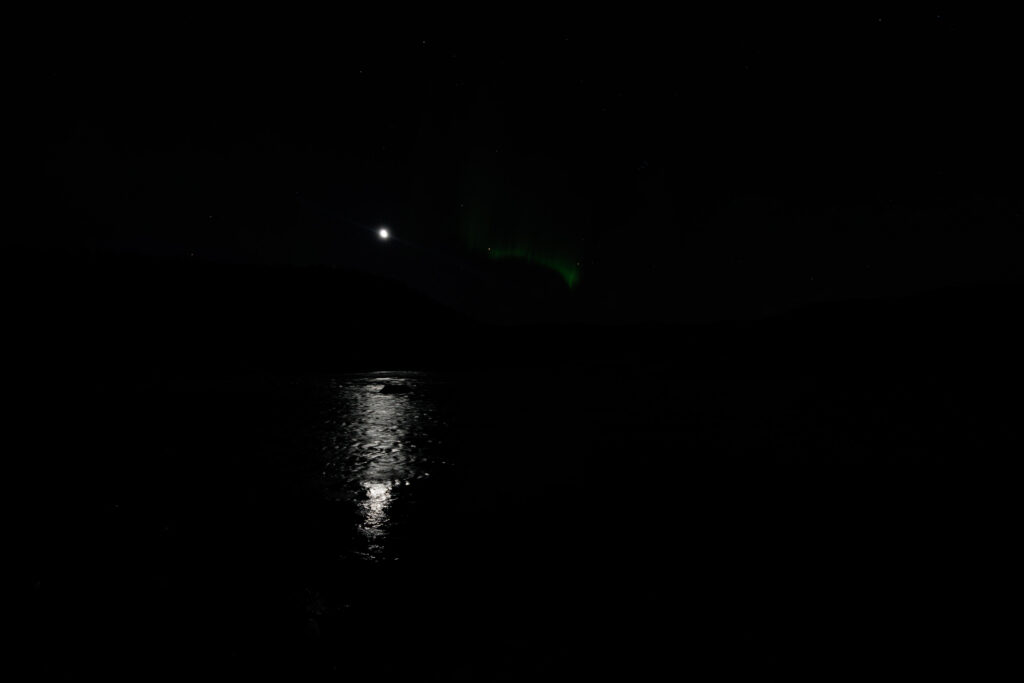 Aufgenommen: 24.09.2024 21:10 | Gerät: Canon EOS R5 | Belichtungszeit: 1/2 s | Blende: f/2.8 | ISO: 1600 | Blitz: nein