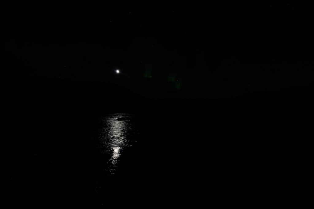 Aufgenommen: 24.09.2024 21:10 | Gerät: Canon EOS R5 | Belichtungszeit: 1/2 s | Blende: f/2.8 | ISO: 1600 | Blitz: nein