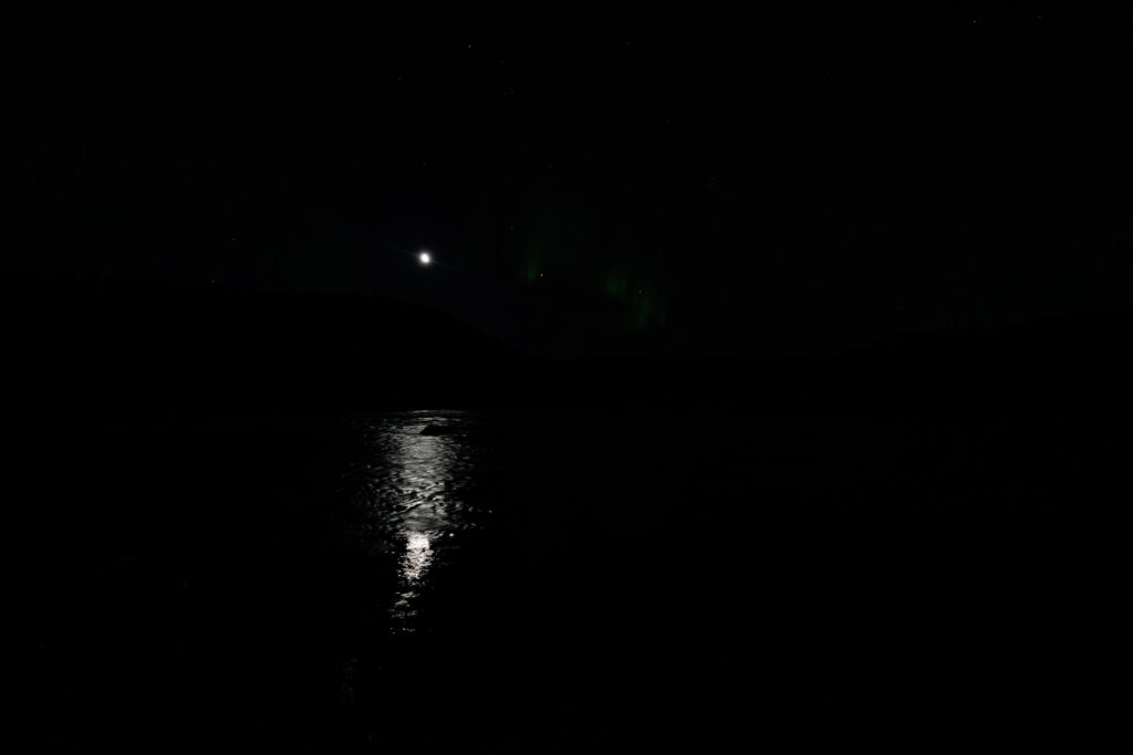 Aufgenommen: 24.09.2024 21:10 | Gerät: Canon EOS R5 | Belichtungszeit: 1/2 s | Blende: f/2.8 | ISO: 1600 | Blitz: nein