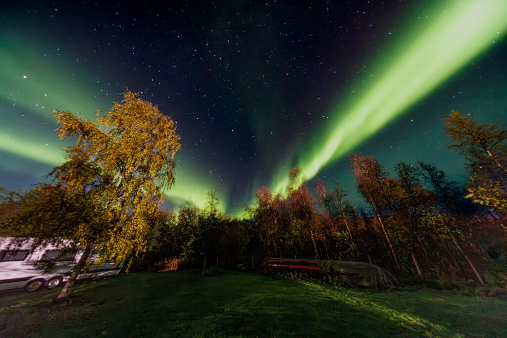 Aufgenommen: 24.09.2024 20:22 | Gerät: Canon EOS R5 | Belichtungszeit: 5/1 s | Blende: f/4.0 | ISO: 6400 | Blitz: nein