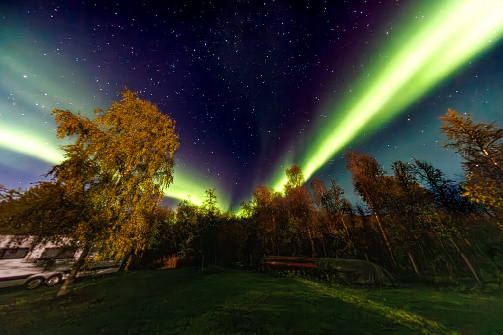 Aufgenommen: 24.09.2024 20:23 | Gerät: Canon EOS R5 | Belichtungszeit: 5/1 s | Blende: f/4.0 | ISO: 6400 | Blitz: nein