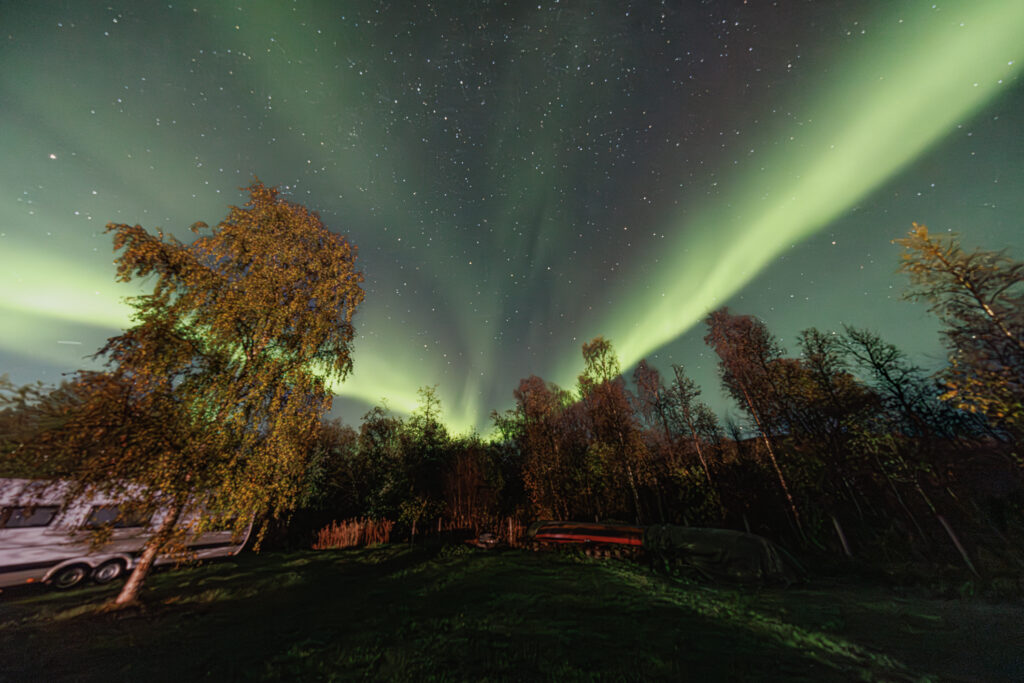 Aufgenommen: 24.09.2024 20:23 | Gerät: Canon EOS R5 | Belichtungszeit: 5/1 s | Blende: f/4.0 | ISO: 6400 | Blitz: nein