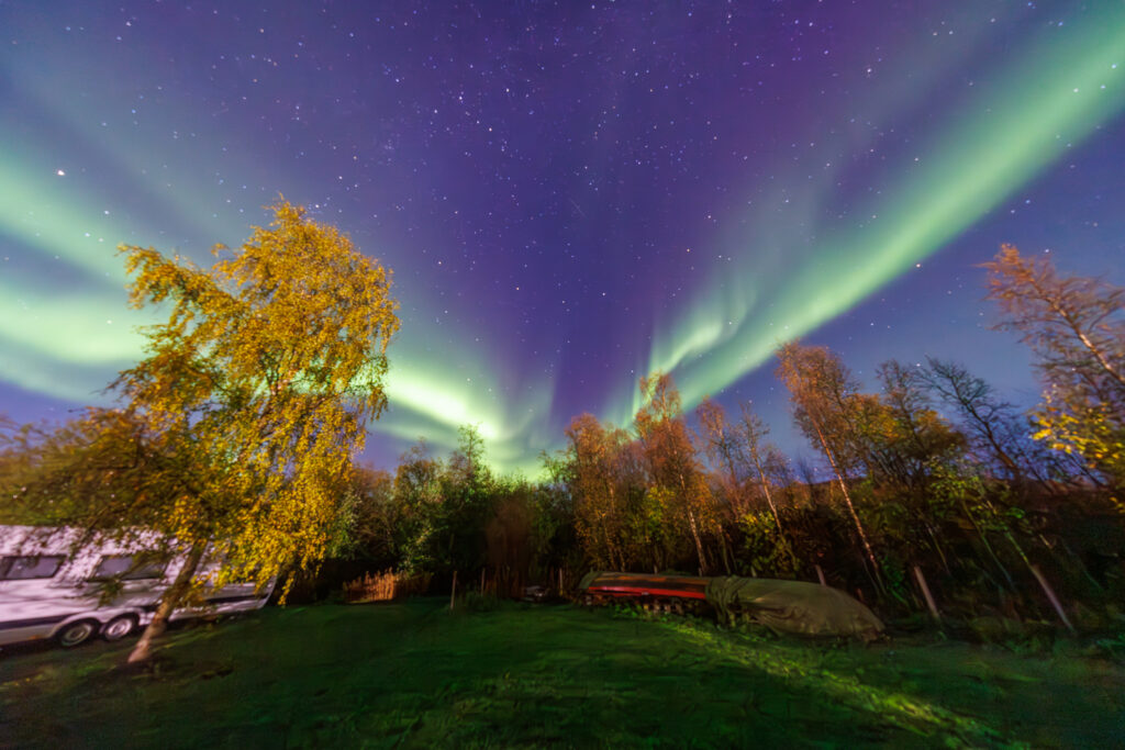 Aufgenommen: 24.09.2024 20:24 | Gerät: Canon EOS R5 | Belichtungszeit: 5/1 s | Blende: f/4.0 | ISO: 6400 | Blitz: nein