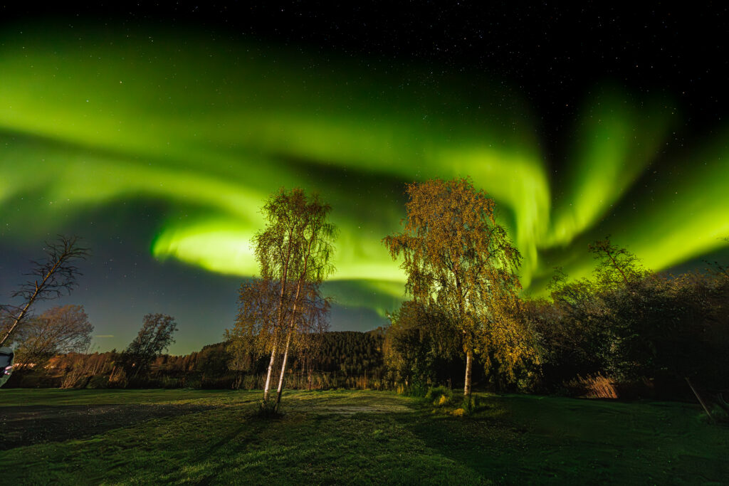 Aufgenommen: 24.09.2024 20:28 | Gerät: Canon EOS R5 | Belichtungszeit: 5/1 s | Blende: f/4.0 | ISO: 6400 | Blitz: nein
