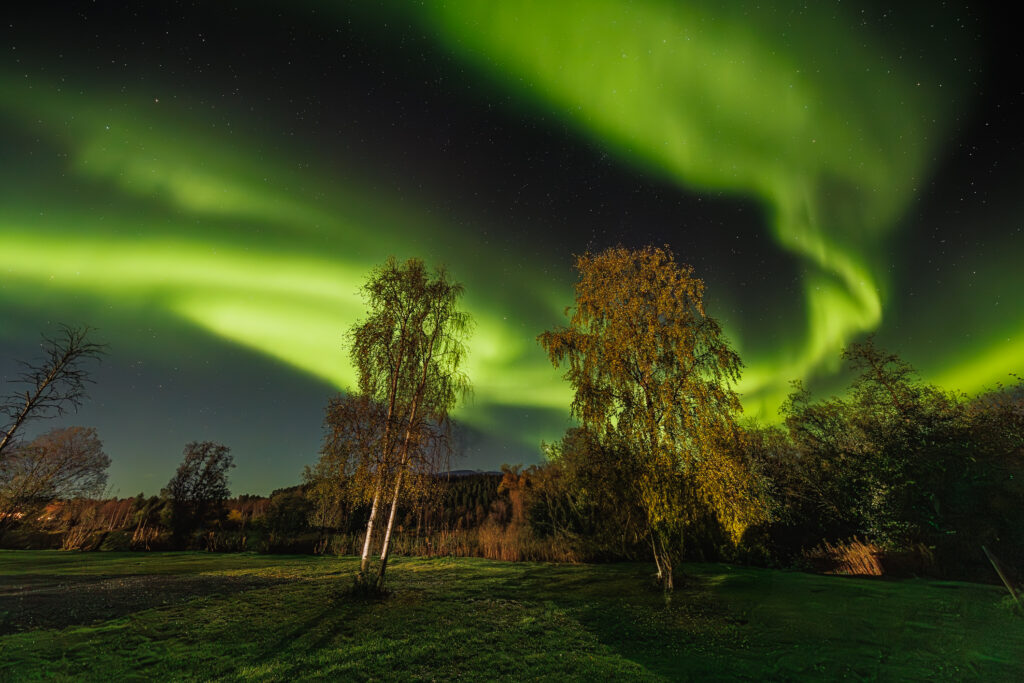 Aufgenommen: 24.09.2024 20:28 | Gerät: Canon EOS R5 | Belichtungszeit: 5/1 s | Blende: f/4.0 | ISO: 6400 | Blitz: nein