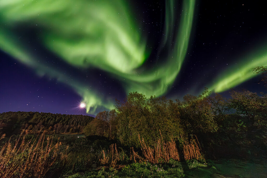 Aufgenommen: 24.09.2024 20:32 | Gerät: Canon EOS R5 | Belichtungszeit: 32/10 s | Blende: f/4.0 | ISO: 6400 | Blitz: nein