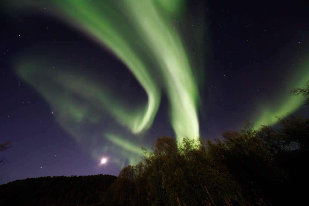 Aufgenommen: 24.09.2024 20:34 | Gerät: Canon EOS R5 | Belichtungszeit: 32/10 s | Blende: f/4.0 | ISO: 6400 | Blitz: nein