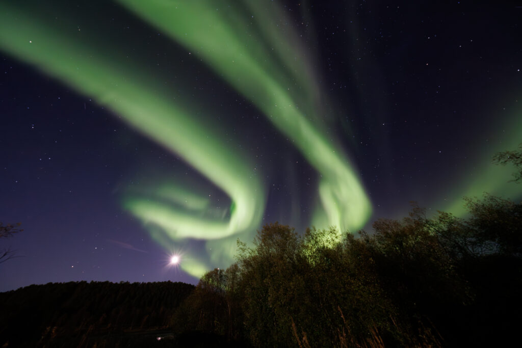 Aufgenommen: 24.09.2024 20:35 | Gerät: Canon EOS R5 | Belichtungszeit: 32/10 s | Blende: f/4.0 | ISO: 6400 | Blitz: nein