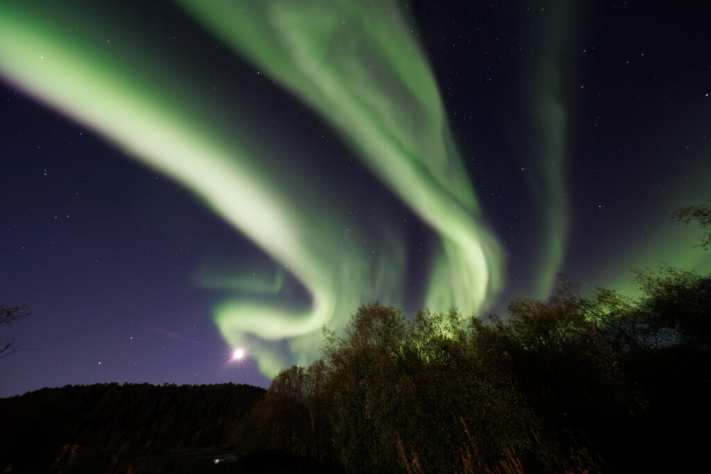 Aufgenommen: 24.09.2024 20:35 | Gerät: Canon EOS R5 | Belichtungszeit: 32/10 s | Blende: f/4.0 | ISO: 6400 | Blitz: nein