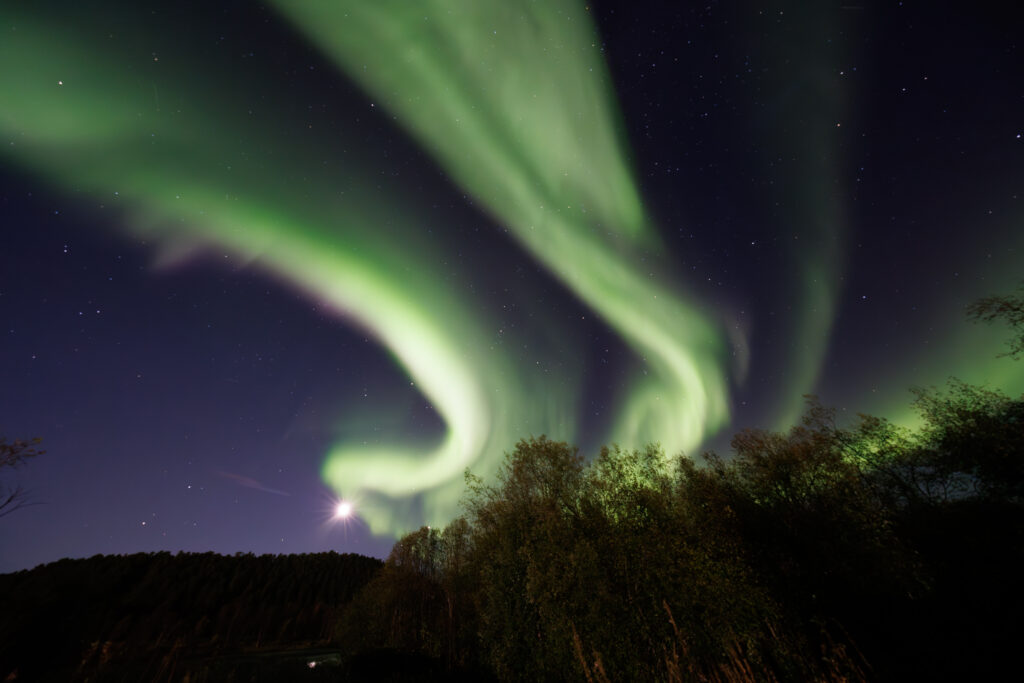 Aufgenommen: 24.09.2024 20:35 | Gerät: Canon EOS R5 | Belichtungszeit: 32/10 s | Blende: f/4.0 | ISO: 6400 | Blitz: nein
