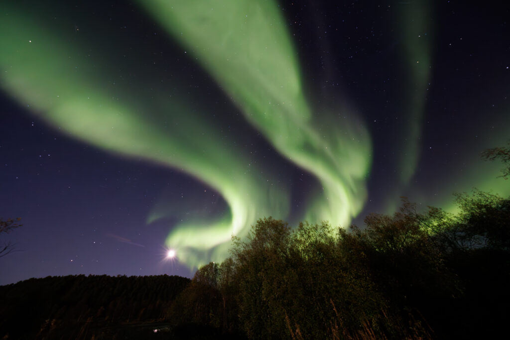 Aufgenommen: 24.09.2024 20:35 | Gerät: Canon EOS R5 | Belichtungszeit: 32/10 s | Blende: f/4.0 | ISO: 6400 | Blitz: nein
