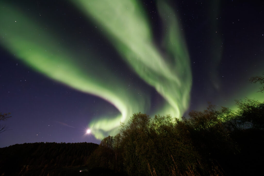 Aufgenommen: 24.09.2024 20:35 | Gerät: Canon EOS R5 | Belichtungszeit: 32/10 s | Blende: f/4.0 | ISO: 6400 | Blitz: nein