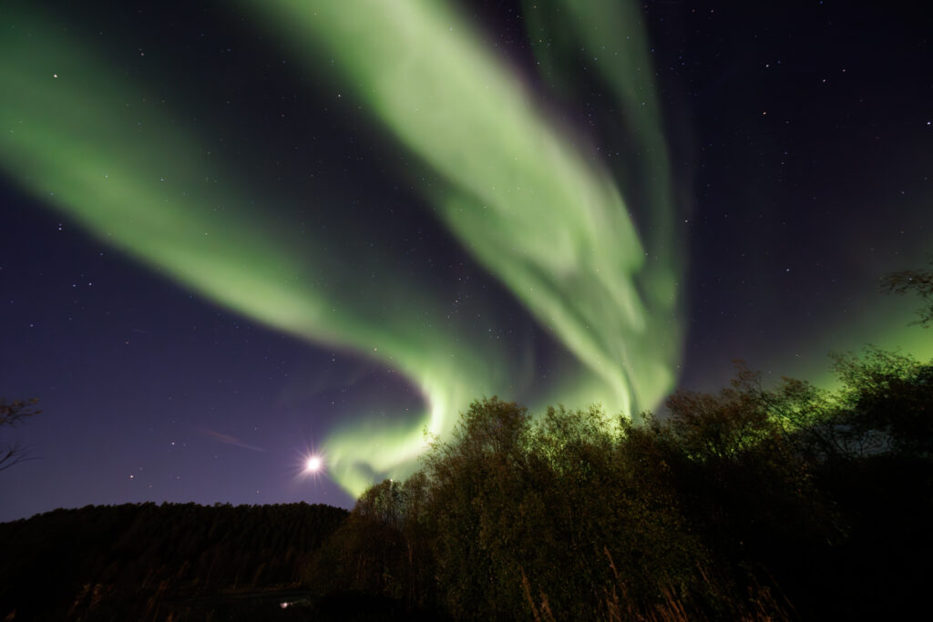 Aufgenommen: 24.09.2024 20:36 | Gerät: Canon EOS R5 | Belichtungszeit: 32/10 s | Blende: f/4.0 | ISO: 6400 | Blitz: nein