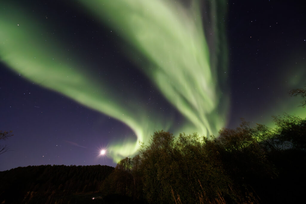 Aufgenommen: 24.09.2024 20:36 | Gerät: Canon EOS R5 | Belichtungszeit: 32/10 s | Blende: f/4.0 | ISO: 6400 | Blitz: nein