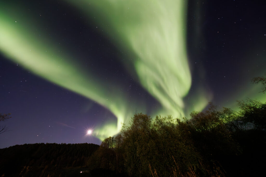 Aufgenommen: 24.09.2024 20:36 | Gerät: Canon EOS R5 | Belichtungszeit: 32/10 s | Blende: f/4.0 | ISO: 6400 | Blitz: nein