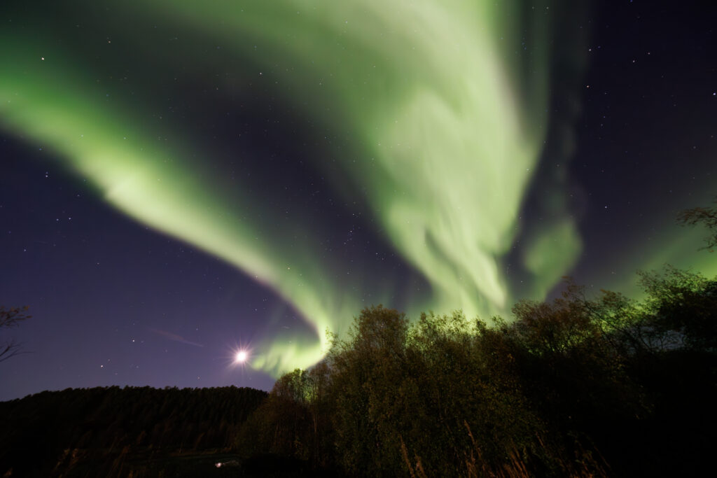 Aufgenommen: 24.09.2024 20:36 | Gerät: Canon EOS R5 | Belichtungszeit: 32/10 s | Blende: f/4.0 | ISO: 6400 | Blitz: nein
