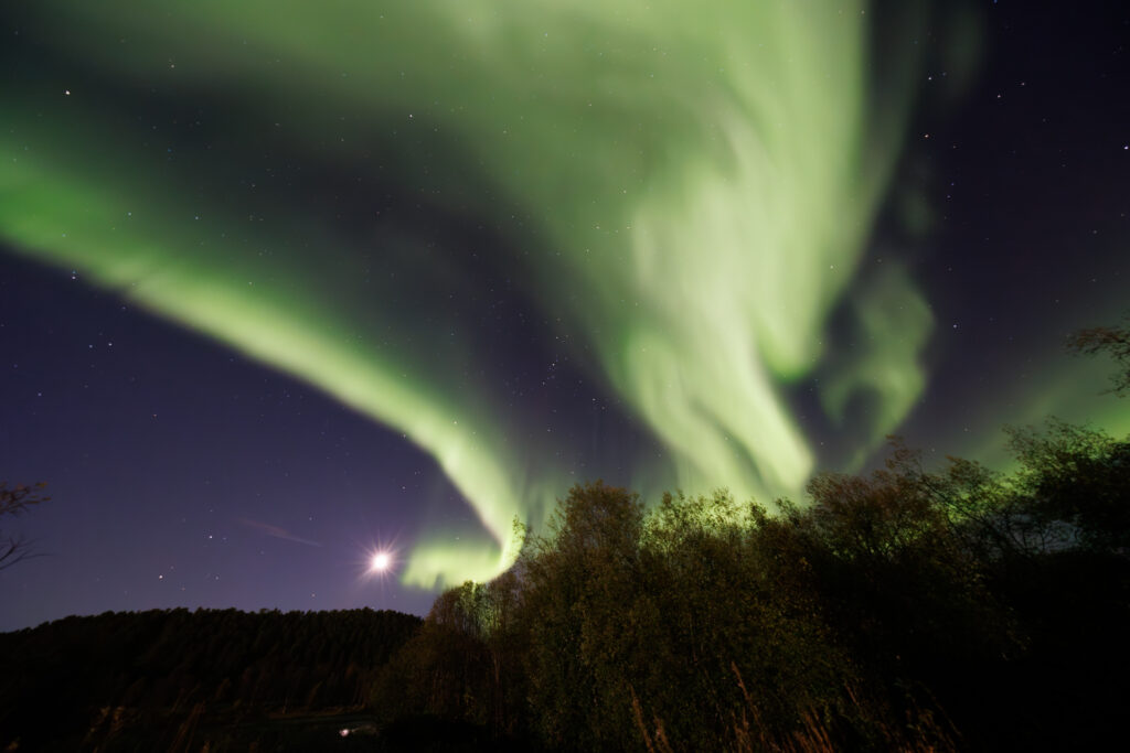 Aufgenommen: 24.09.2024 20:36 | Gerät: Canon EOS R5 | Belichtungszeit: 32/10 s | Blende: f/4.0 | ISO: 6400 | Blitz: nein