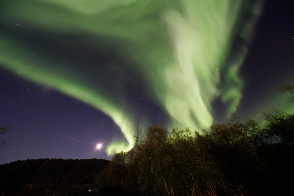 Aufgenommen: 24.09.2024 20:36 | Gerät: Canon EOS R5 | Belichtungszeit: 32/10 s | Blende: f/4.0 | ISO: 6400 | Blitz: nein