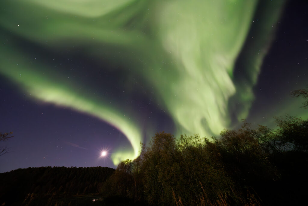 Aufgenommen: 24.09.2024 20:36 | Gerät: Canon EOS R5 | Belichtungszeit: 32/10 s | Blende: f/4.0 | ISO: 6400 | Blitz: nein