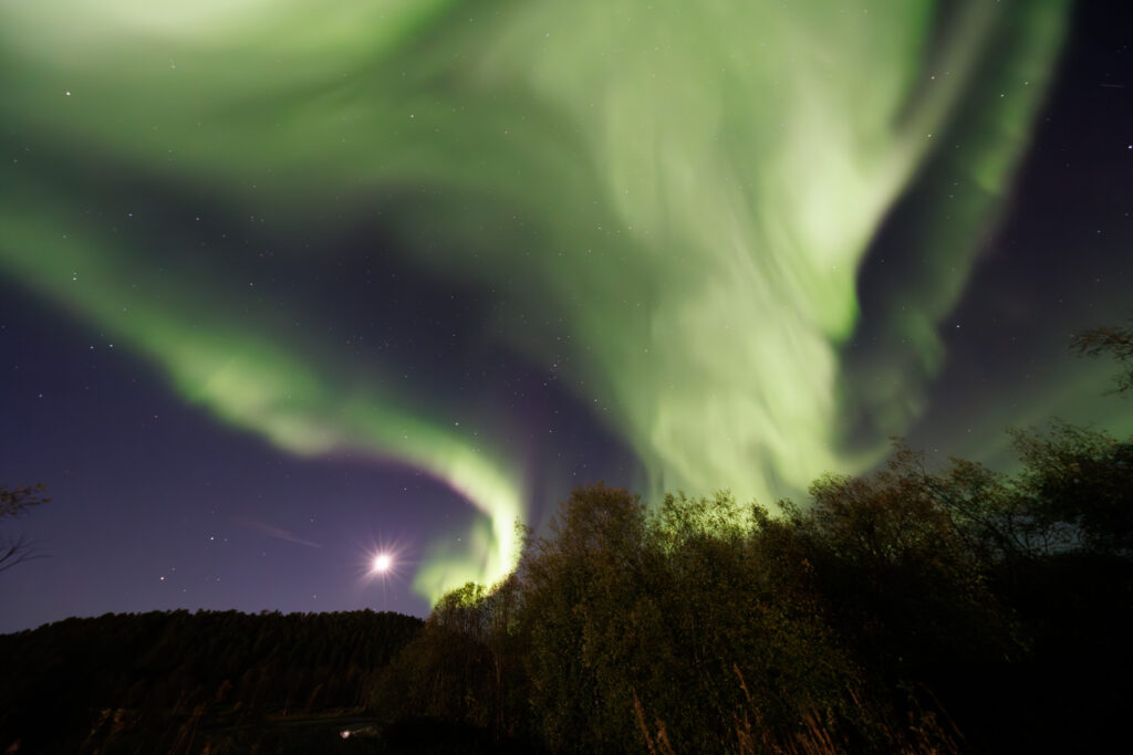Aufgenommen: 24.09.2024 20:36 | Gerät: Canon EOS R5 | Belichtungszeit: 32/10 s | Blende: f/4.0 | ISO: 6400 | Blitz: nein