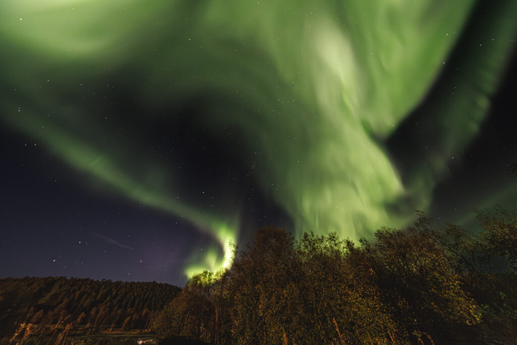 Aufgenommen: 24.09.2024 20:36 | Gerät: Canon EOS R5 | Belichtungszeit: 32/10 s | Blende: f/4.0 | ISO: 6400 | Blitz: nein