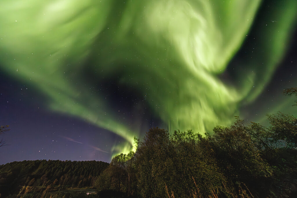 Aufgenommen: 24.09.2024 20:36 | Gerät: Canon EOS R5 | Belichtungszeit: 32/10 s | Blende: f/4.0 | ISO: 6400 | Blitz: nein
