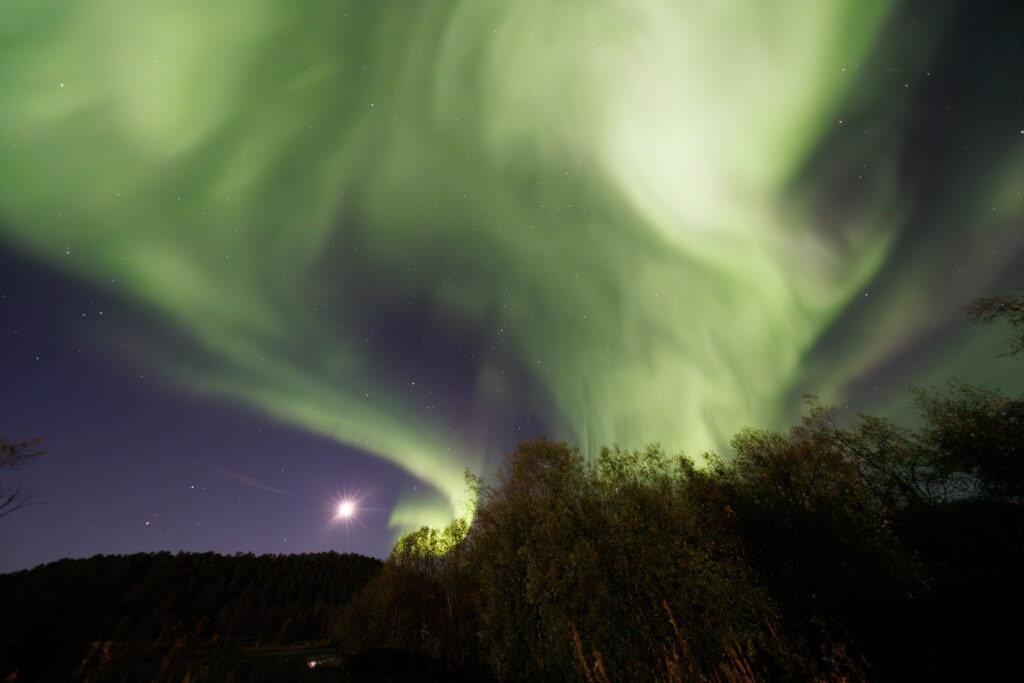 Aufgenommen: 24.09.2024 20:37 | Gerät: Canon EOS R5 | Belichtungszeit: 32/10 s | Blende: f/4.0 | ISO: 6400 | Blitz: nein