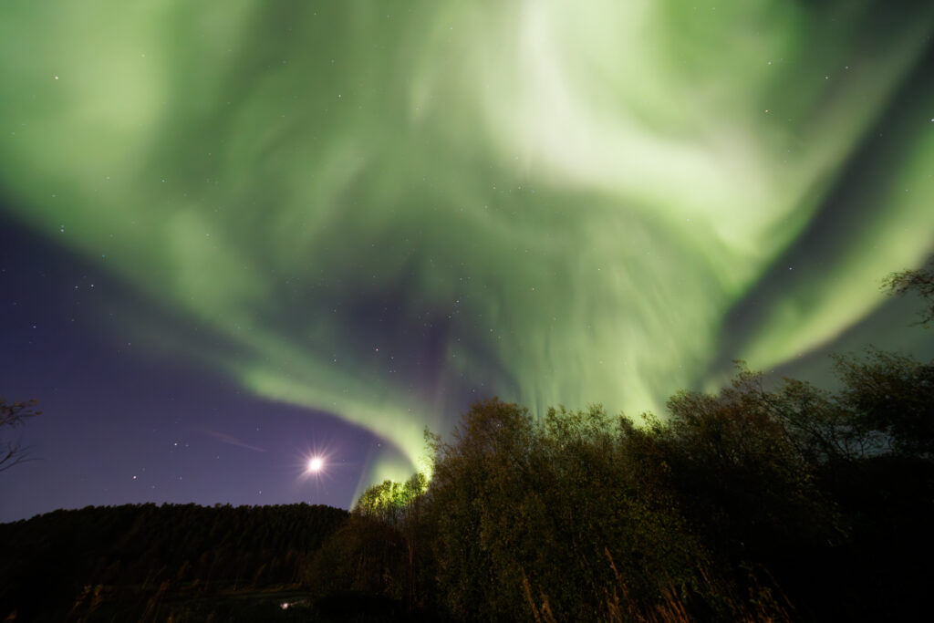 Aufgenommen: 24.09.2024 20:37 | Gerät: Canon EOS R5 | Belichtungszeit: 32/10 s | Blende: f/4.0 | ISO: 6400 | Blitz: nein