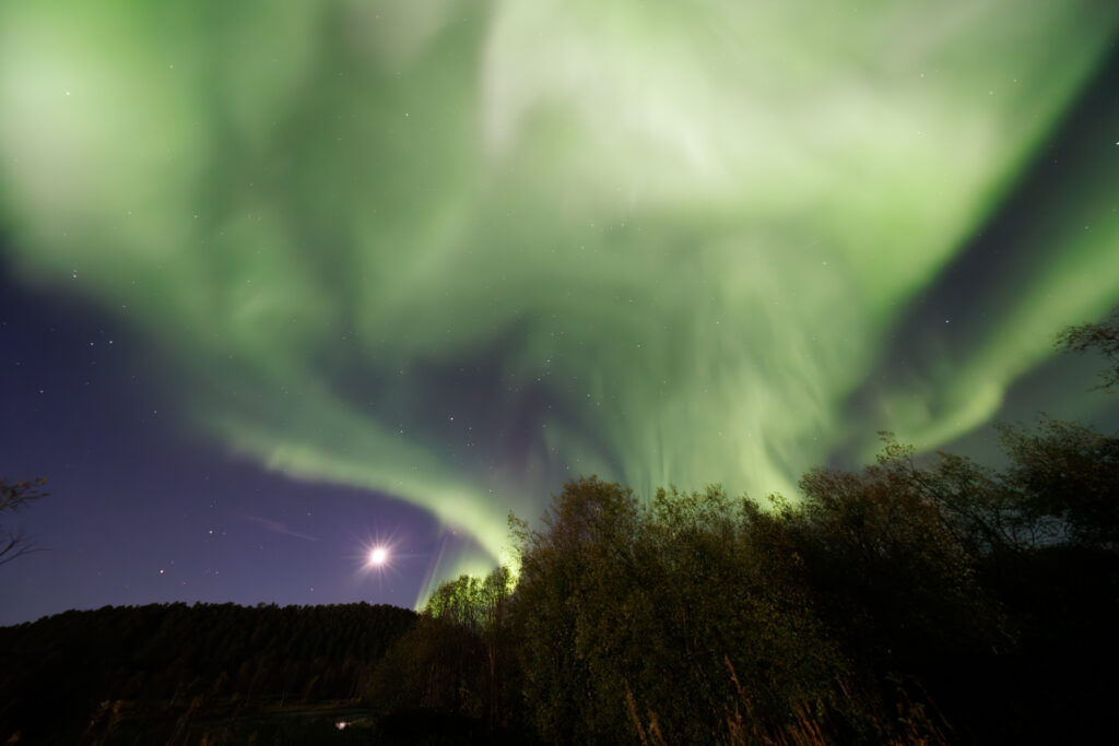 Aufgenommen: 24.09.2024 20:37 | Gerät: Canon EOS R5 | Belichtungszeit: 32/10 s | Blende: f/4.0 | ISO: 6400 | Blitz: nein
