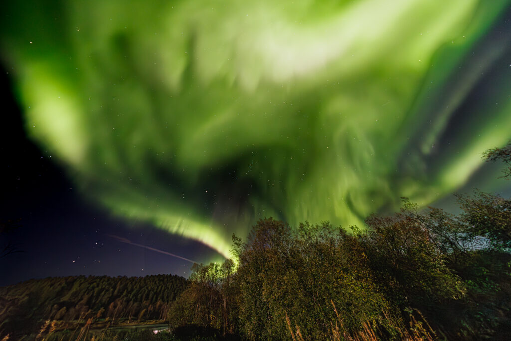 Aufgenommen: 24.09.2024 20:37 | Gerät: Canon EOS R5 | Belichtungszeit: 32/10 s | Blende: f/4.0 | ISO: 6400 | Blitz: nein